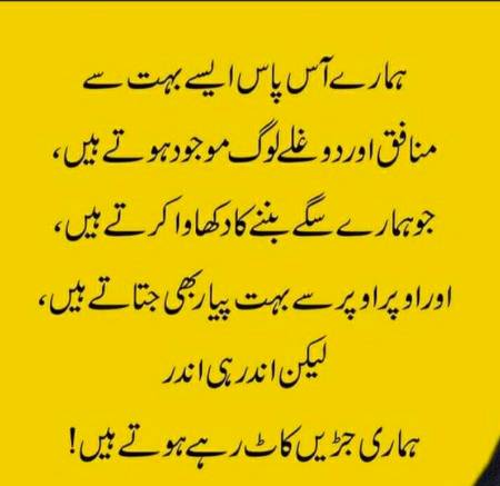 منافق اور دوغلے لوگ