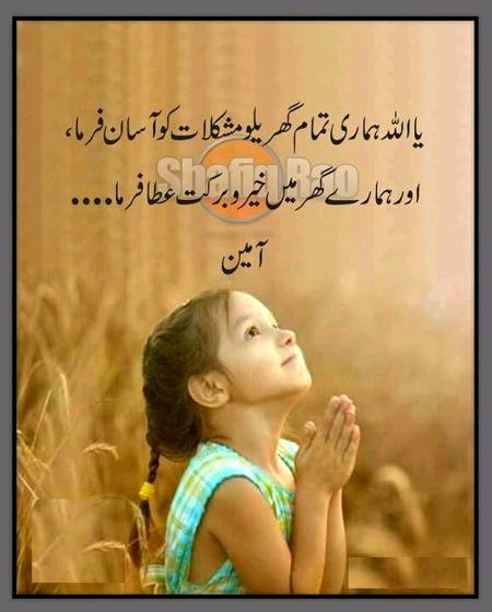 .q2 Ameen