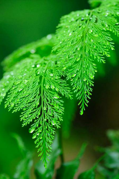 Beauty Of nature