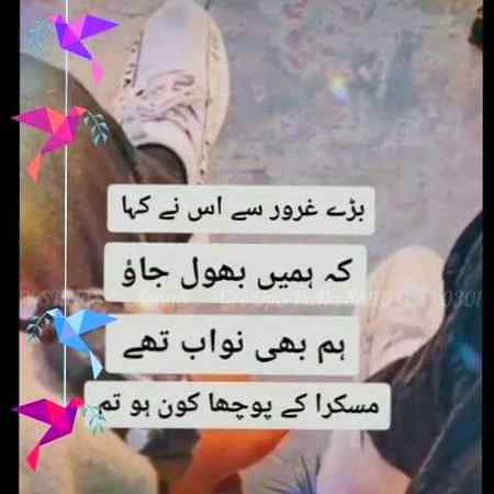 Albela bilo. ....
