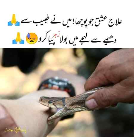 مجھ سے نفرت واجب ہے تمہیں
یہ نہ کروگے تو محبّت ہو جائیگی