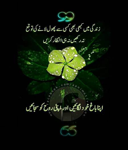 Nice word