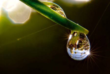 Water drop photography