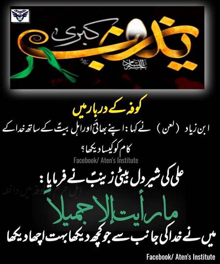 جناب زینب س" میں نے خدا کی جانب سے جو کچھ دیکھا بہت اچھا دیکھا"!!!