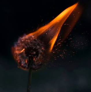 کبھی کبھی کسی سے دور ہونے کا مقصد اسے درد دینا نہیں بلکہ درد سے بچانا ہوتا ہے.اور جب مجھے لگے کہ میری وجہ سے کسی کو تکلیف پہنچ سکتی ہے تو میں مصلحت دوری اختیار کر لیتی ہوں.اب چاہے کوئی سمجھے یہ میری انا ہے یا کچھ اور.کسی کو بڑے دکھ سے بچانے کے لیے کبھی کبھی ایسا ضروری ہو جاتا ہے۔