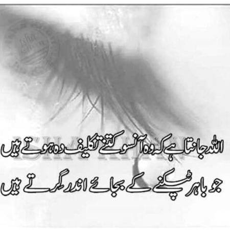 Please don't hurt anyone.