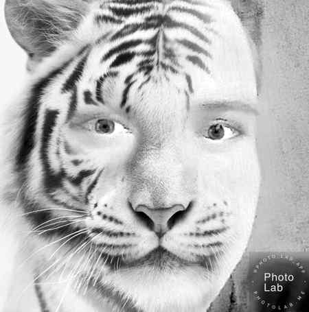 Sending by fareed ahmed shaikh