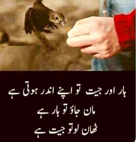 Turth,,,,