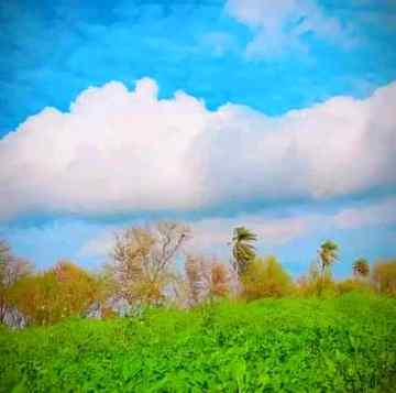 تیری خوشی کے ٹھکانے بہت ھوں ---- گے .
مگر ---- میری بے چینی کی وجہ بس تم ھو..❤❤
What a pleasant view😍
Anum malik😇