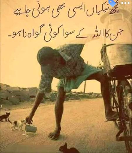 Subah ba khair zindage :)