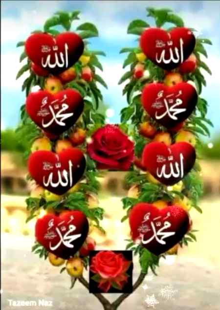 💟لَا إِلٰهَ إِلَّا اللّٰهُ مُحَمَّدٌ رَسُولُ اللّٰهِ💟