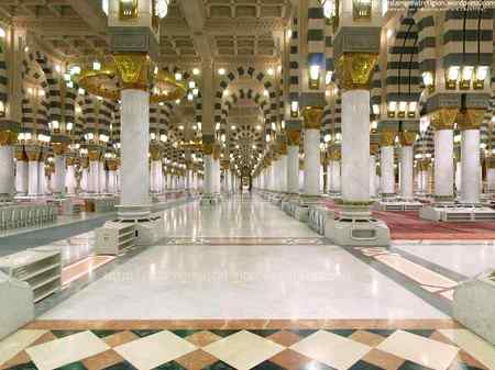 Daaman mayra bhara hay srkar k karam say .
Allah Hafiz 🌹💐🥀🥀🌹🌱💐💐