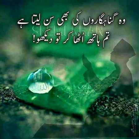 Beshak 💓💓