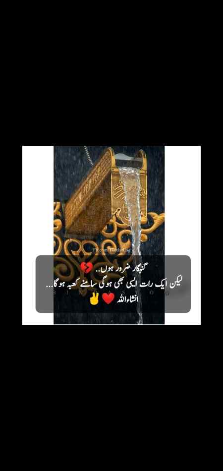 ❤❤ INSHALLAH ❤❤