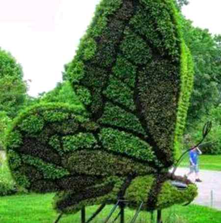 Sending by fareed ahmed shaikh