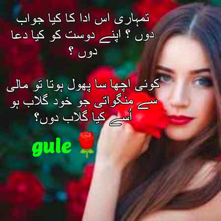 gule🌹Damadam Lover🔥