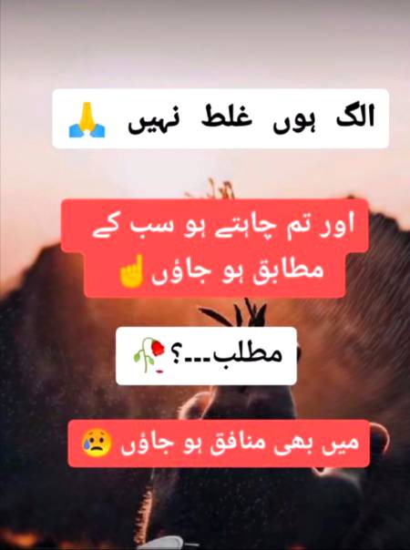 Bilkul 💯💯💯