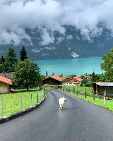Lake brienz Switzerland