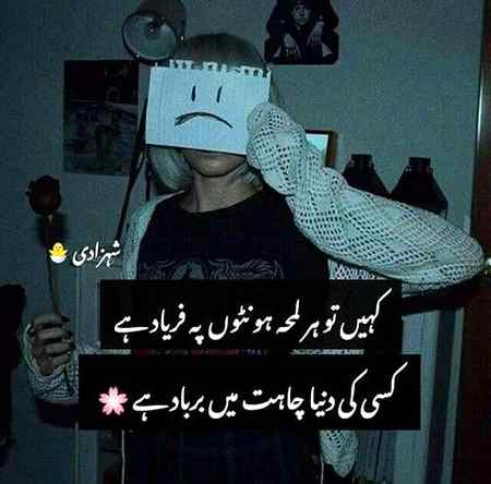 ❣️ Dazzling Mushk❣️