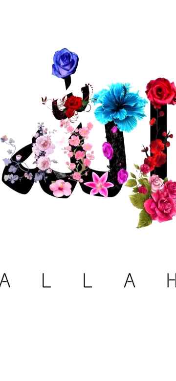 MashAllah Allah is the best creator