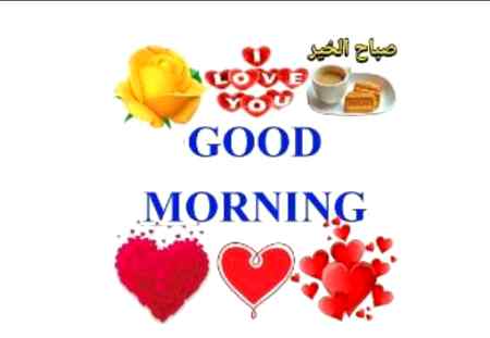 Asalam o aleekum subha ba khair
