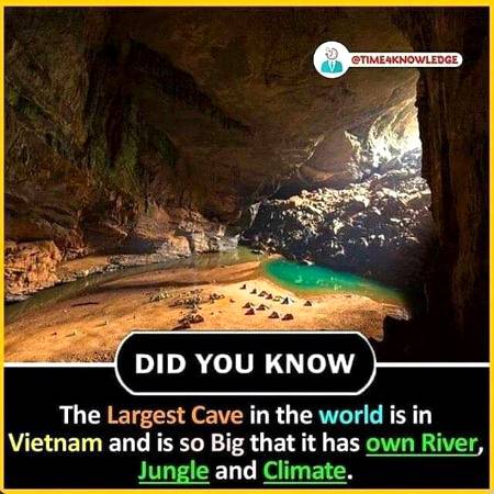 DID YOU KNOW??