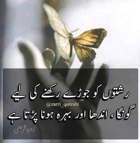 BILKUL 👈