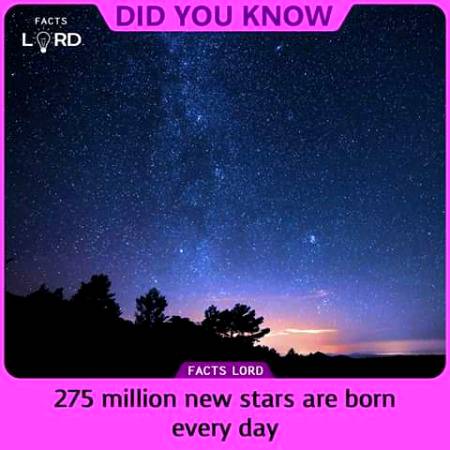 Unbelievable facts 💥💥