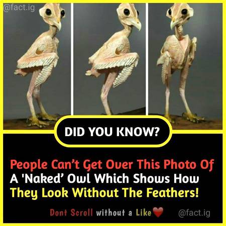 Important knowledge... Did you know??