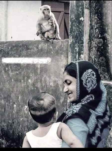 ایں زمانے تے شاکر  خدا دی قسم
ھک خدا مخلص اے ڈوجھی ماں مخلص اے