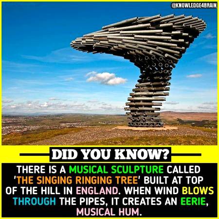 DID YOU KNOW??