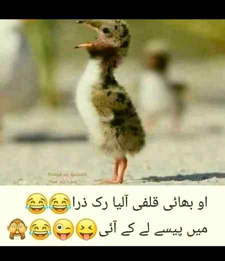 Oooo bhai ruk zraa..