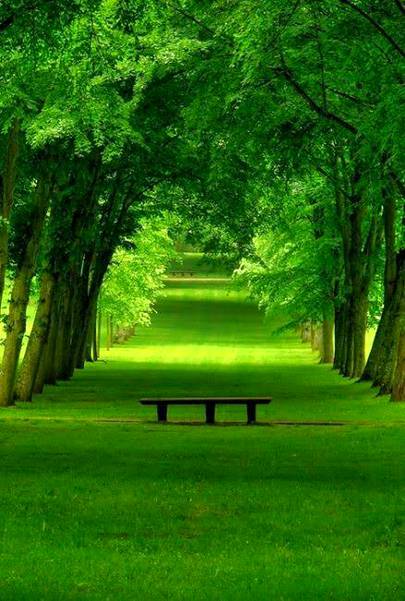 Beauty of nature