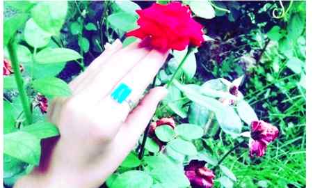 Red rose...🌹🌹🌹🌹...l love red rose...❤❤❤❤
