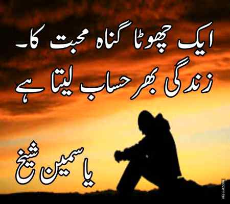 🌼❤🌼❤🌼❤🌼🌺🌼❤❤🌼❤🌼❤