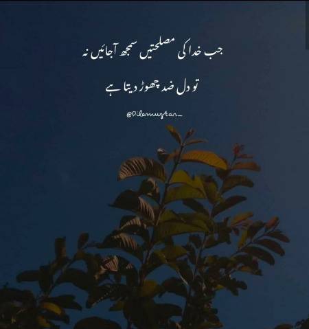 No wordz just close eyes  nd feel😌Allah is in ur heart baqi sb ko nikal do😌🖤🖤