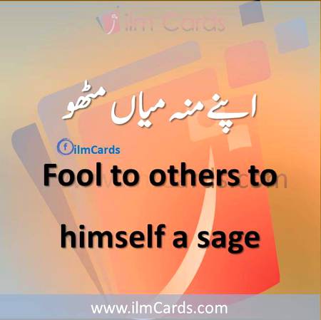 Fool to others....