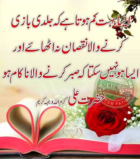 صبر کرنے والا ضرور کامیاب ہوتا ہے