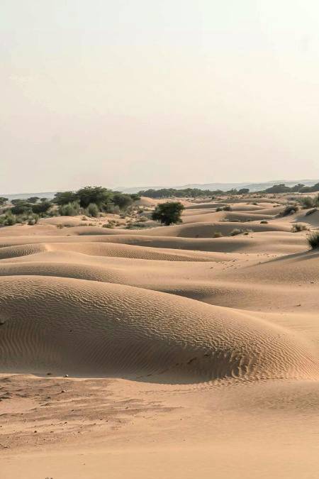 Desert in Jaisalmer