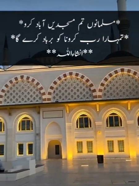 🌹🌹🌹INSHALLAH🌹🌹🌹