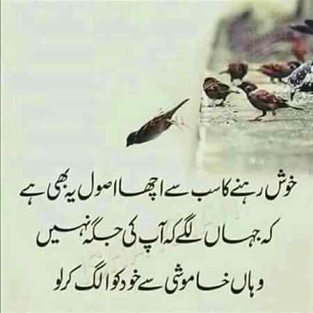 🌸🌼🌸🌸🌼💐🥀🌹🏵️🌷