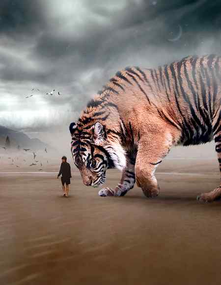 Amazing 👌🏻 Edited pic of Tiger 🔥
