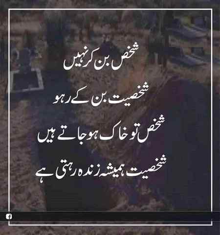 hlo friends