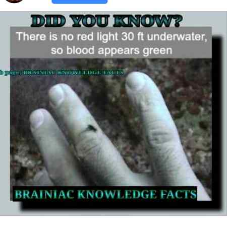 Did you know