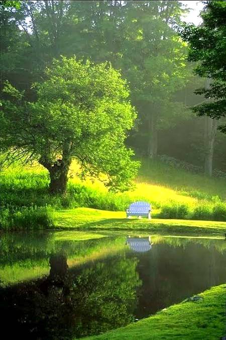Beauty of nature