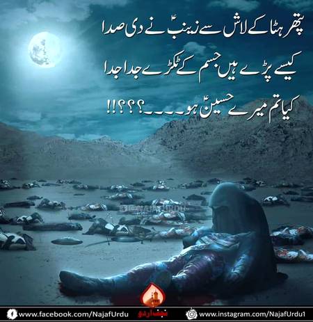 کرتا رہا ہے زبخ کی کوشش کہاں کہاں
خنجر کے ہیں کٹی ہوئی گردن پہ بھی نشاں
کاٹا ہے کس طرح سے ستم گار نے گلا؟!
کیا تم میرے حسین ؑ ہو؟
