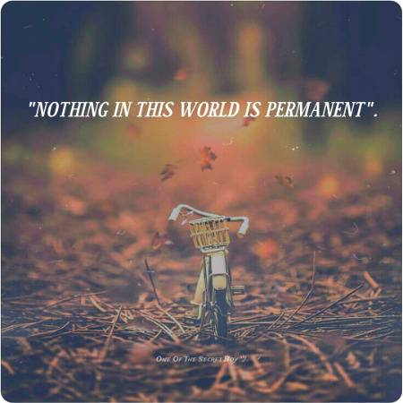 Nothing In The World
