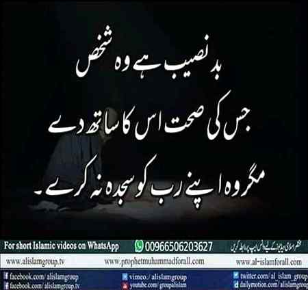 Hlo friends