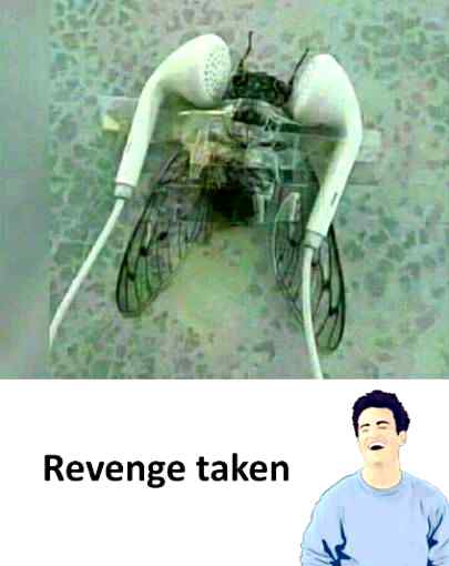 Revenge taken 😈😈