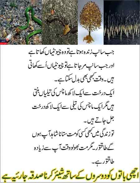 Waqt kbi b badal skta hai...